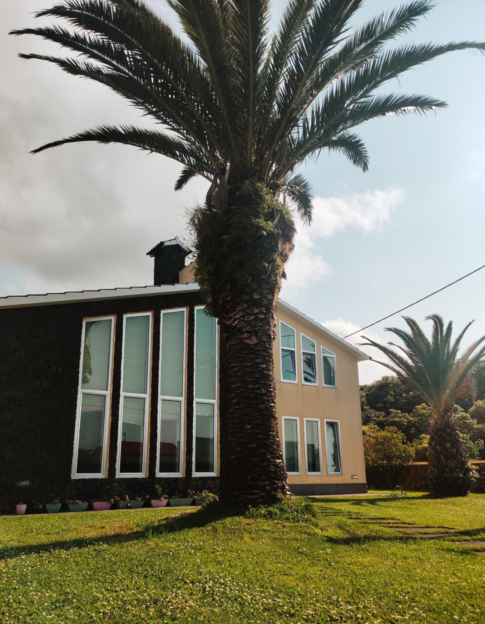 Апартаменти Palmtree 37 Al Прая-да-Віторія Екстер'єр фото